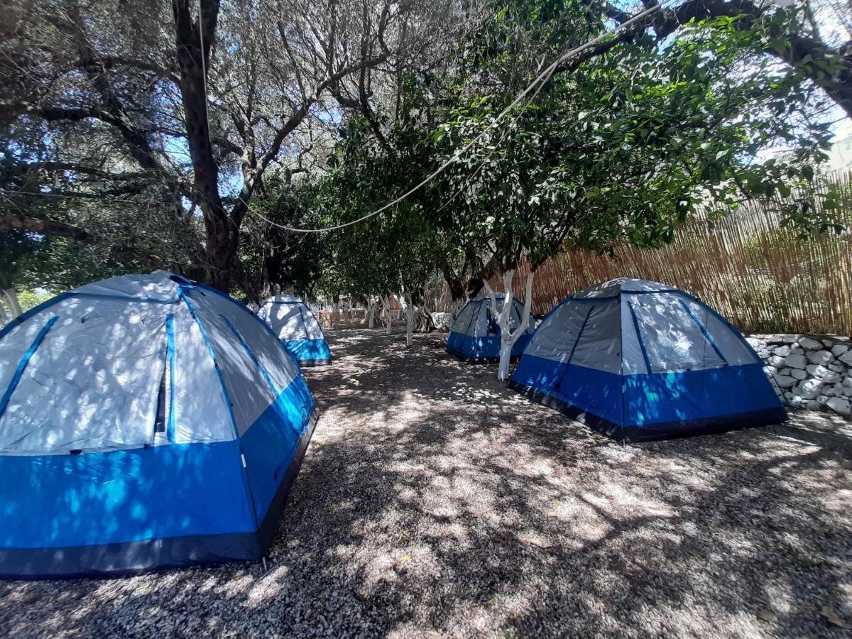 Social Camping Jal Ξενοδοχείο Εξωτερικό φωτογραφία